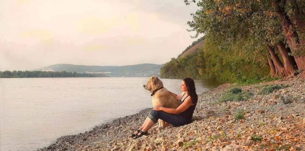 summer-2826300_1920(1)