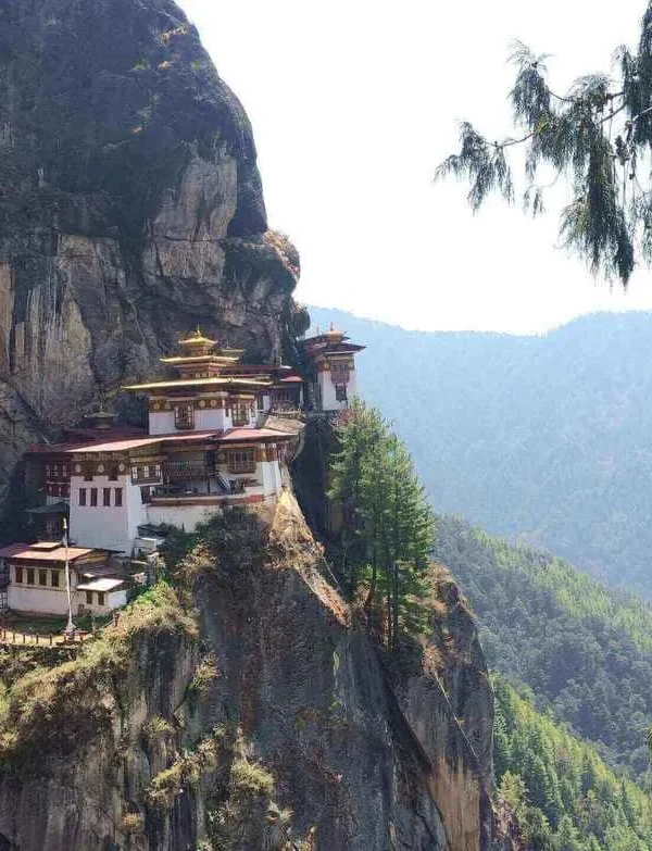 tiger-nest-1387191_1920(1)